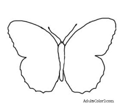 butterfly outline or silhouette basic butterfly shapes