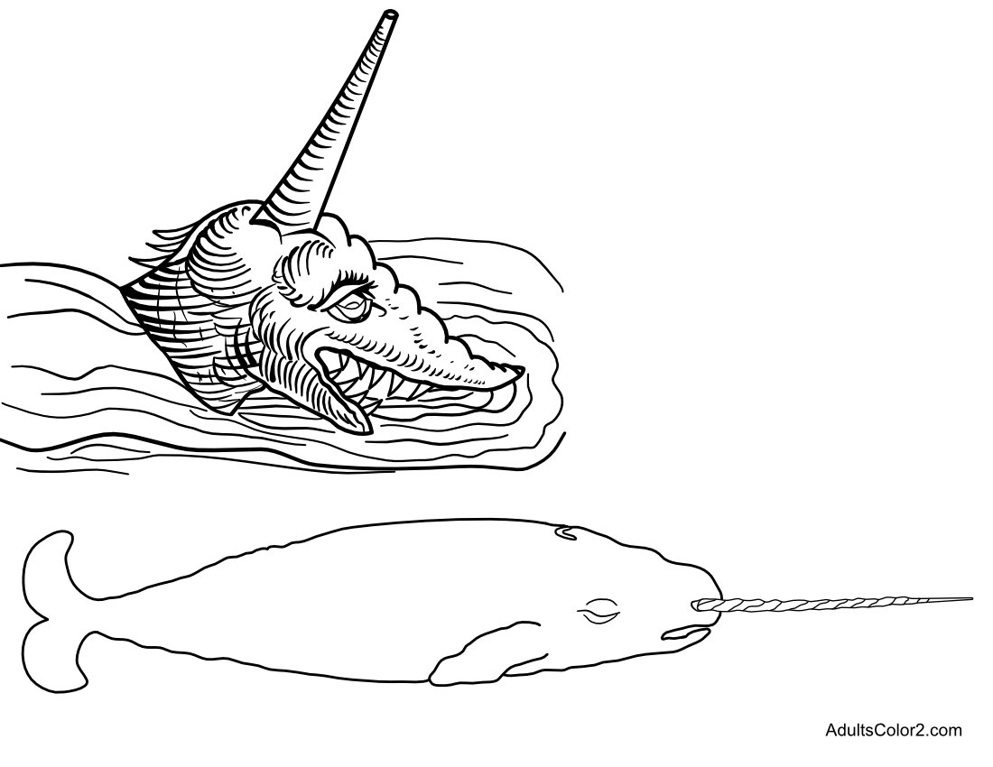 Narwhal real and imagined.