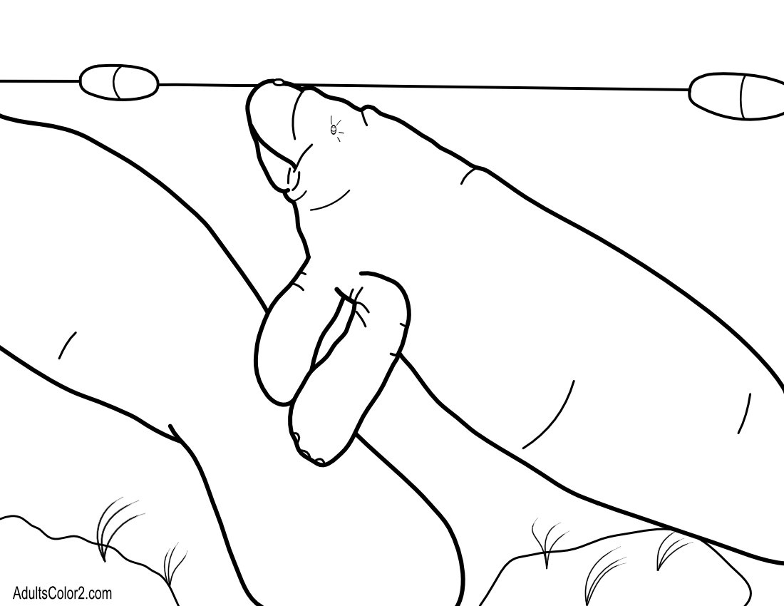 Manatee Pictures: Sea Cow Coloring Page