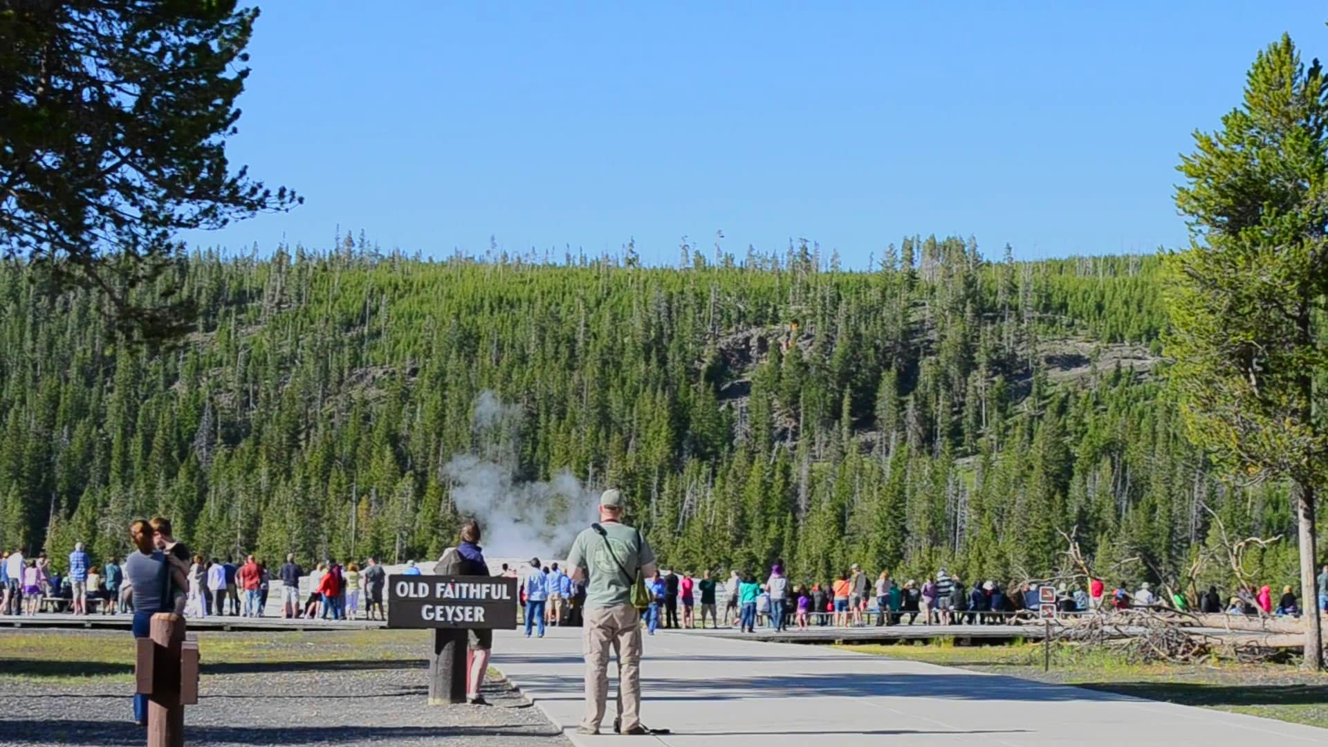 Old Faithful geyser Yellowstone.