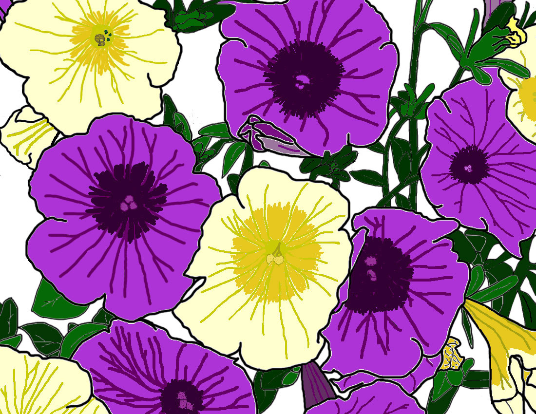 Yellow and purple petunias. Yellow and purple petunias.