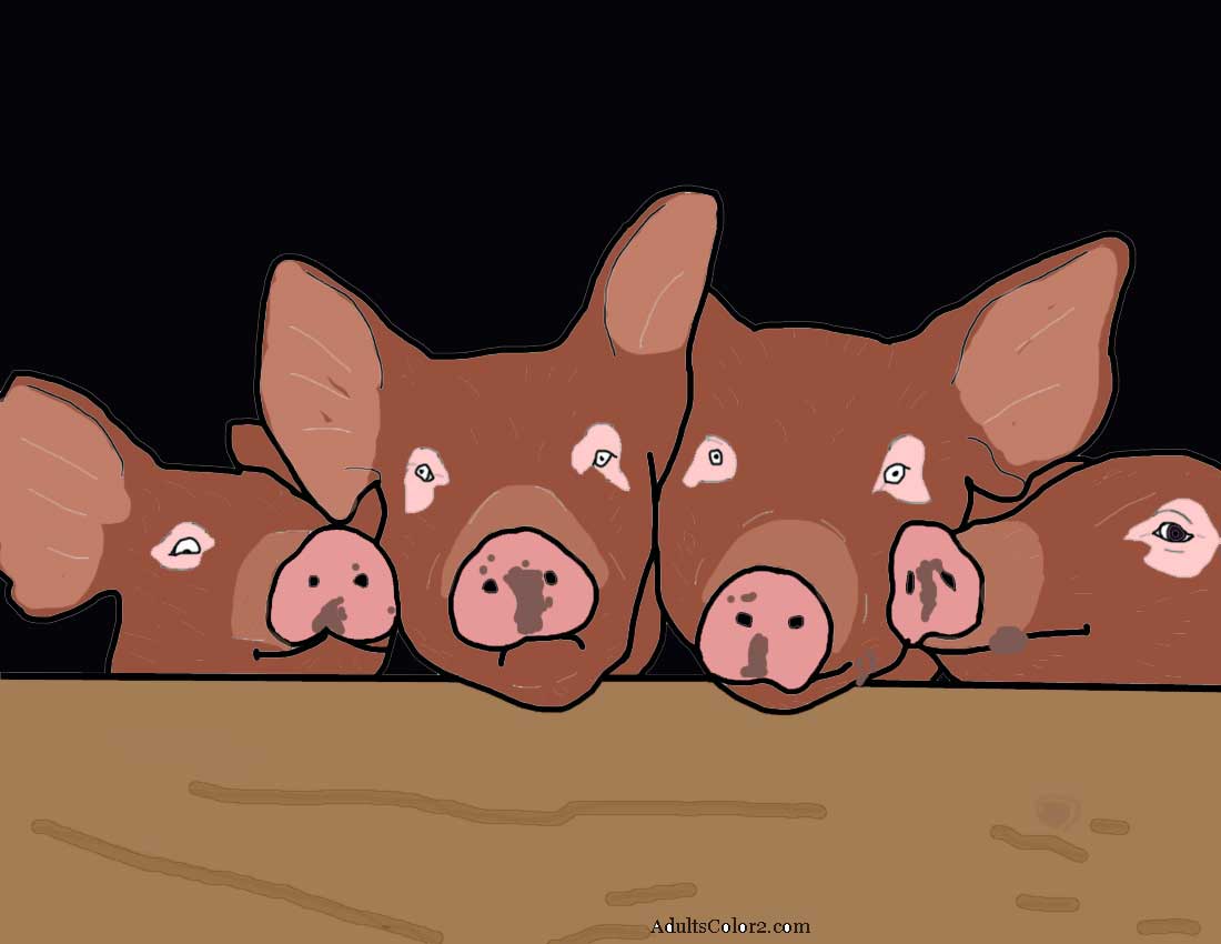 Piglets peeking over a wooden wall.