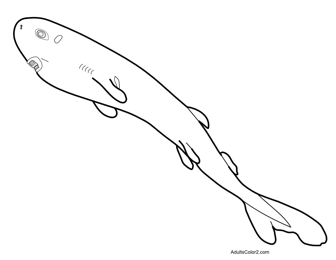 Pocket shark coloring page.