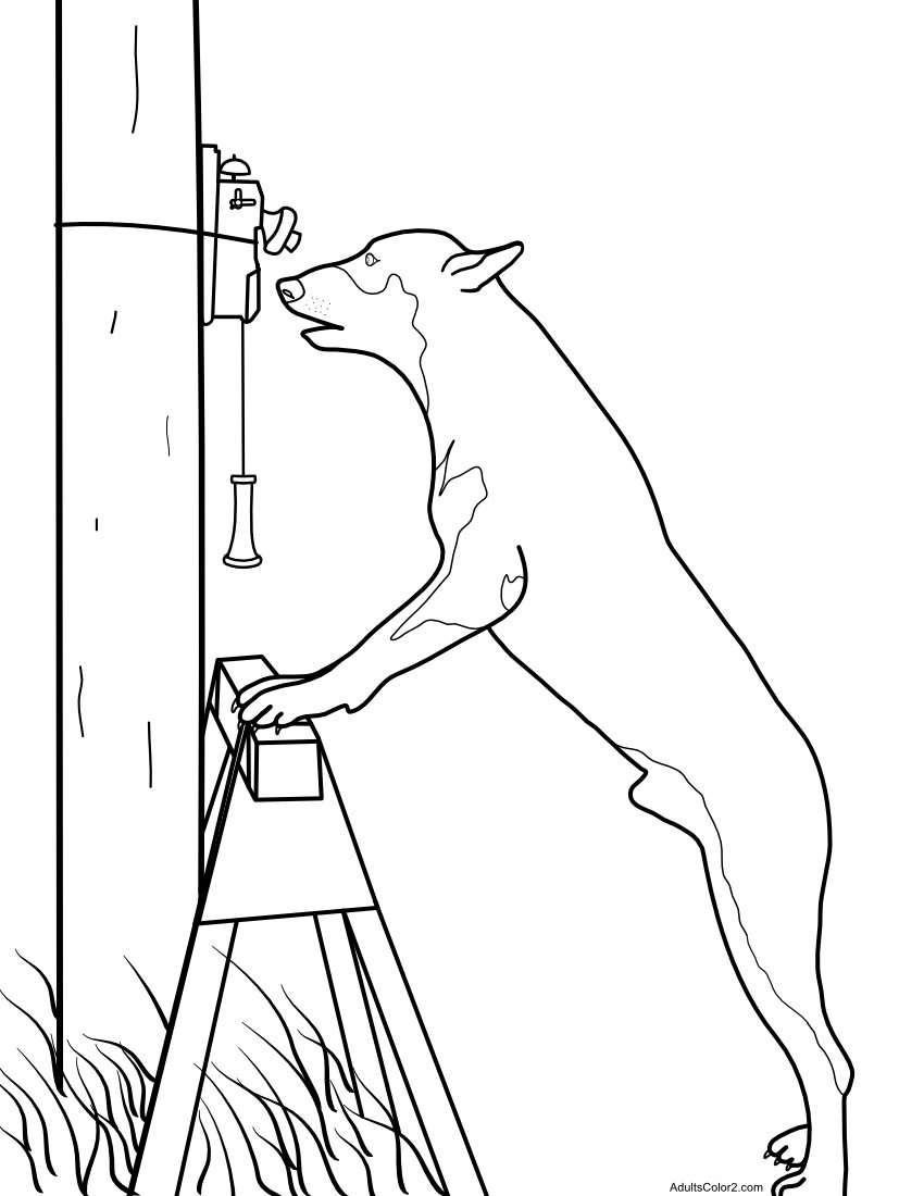 Police dog using phone.