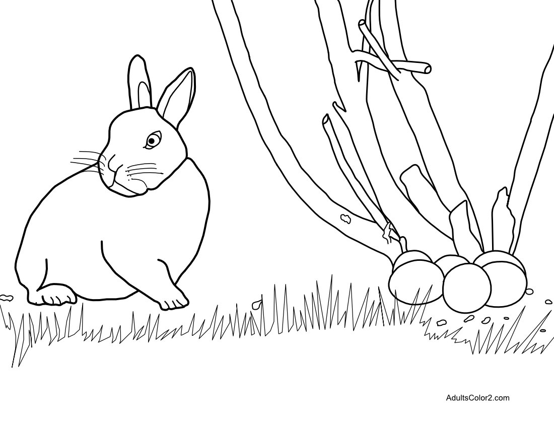 Drawing of Easter bunny caught in the act.
