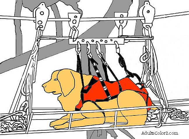 Partially colored rescue dog picture.