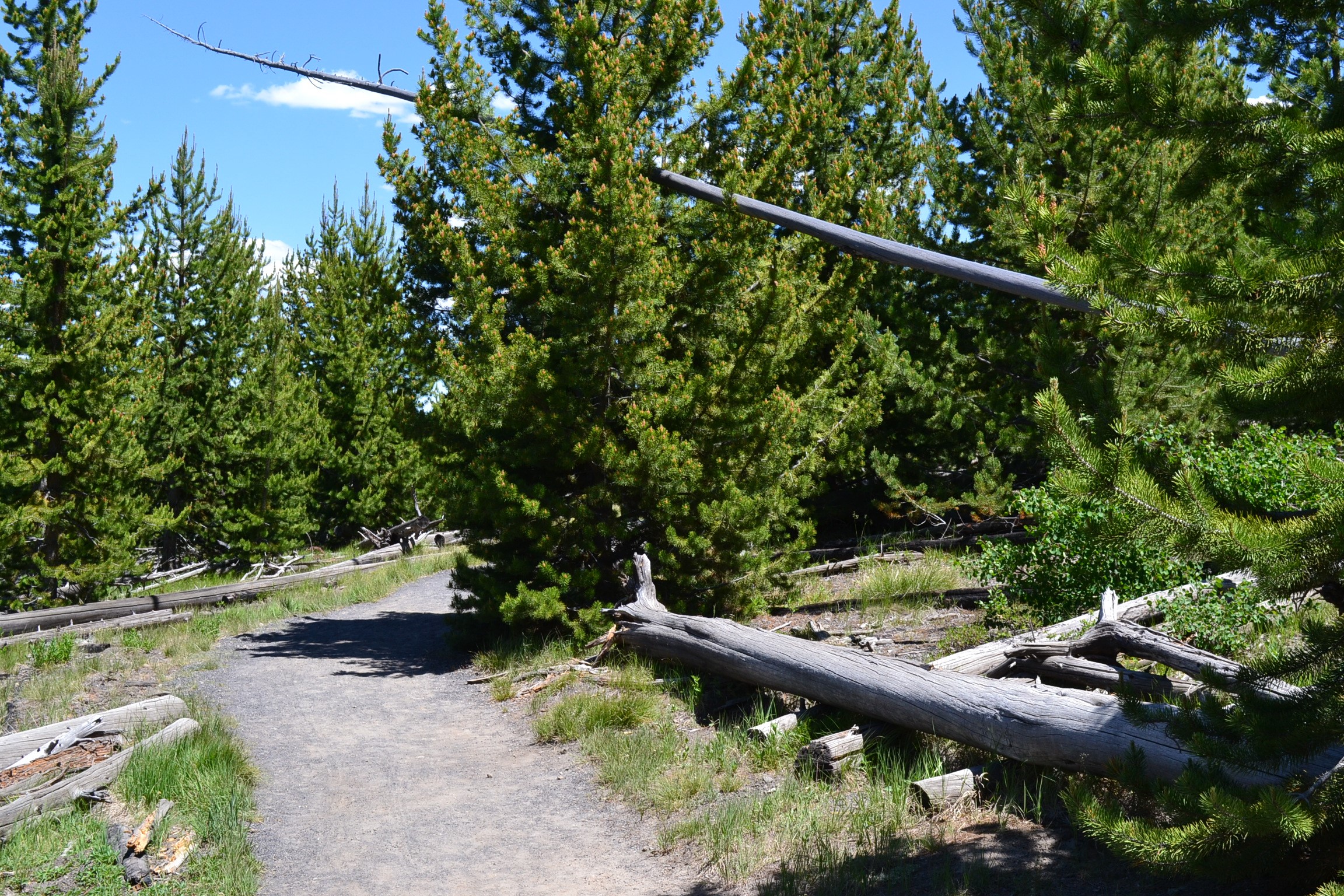 A short section of the Fairy Falls Trail.
