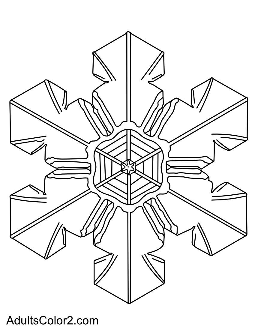 Drawing of a sectored plate snow crystal.