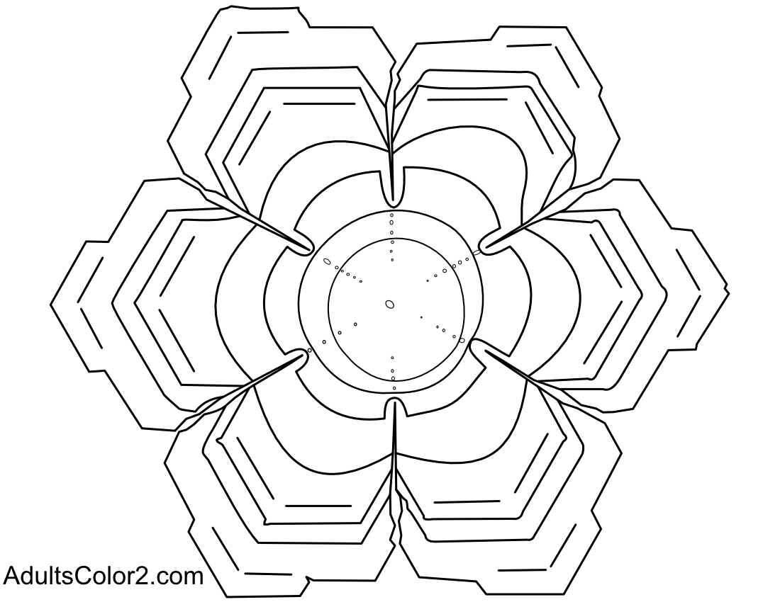Simplified stellar plate snow crystal drawing.