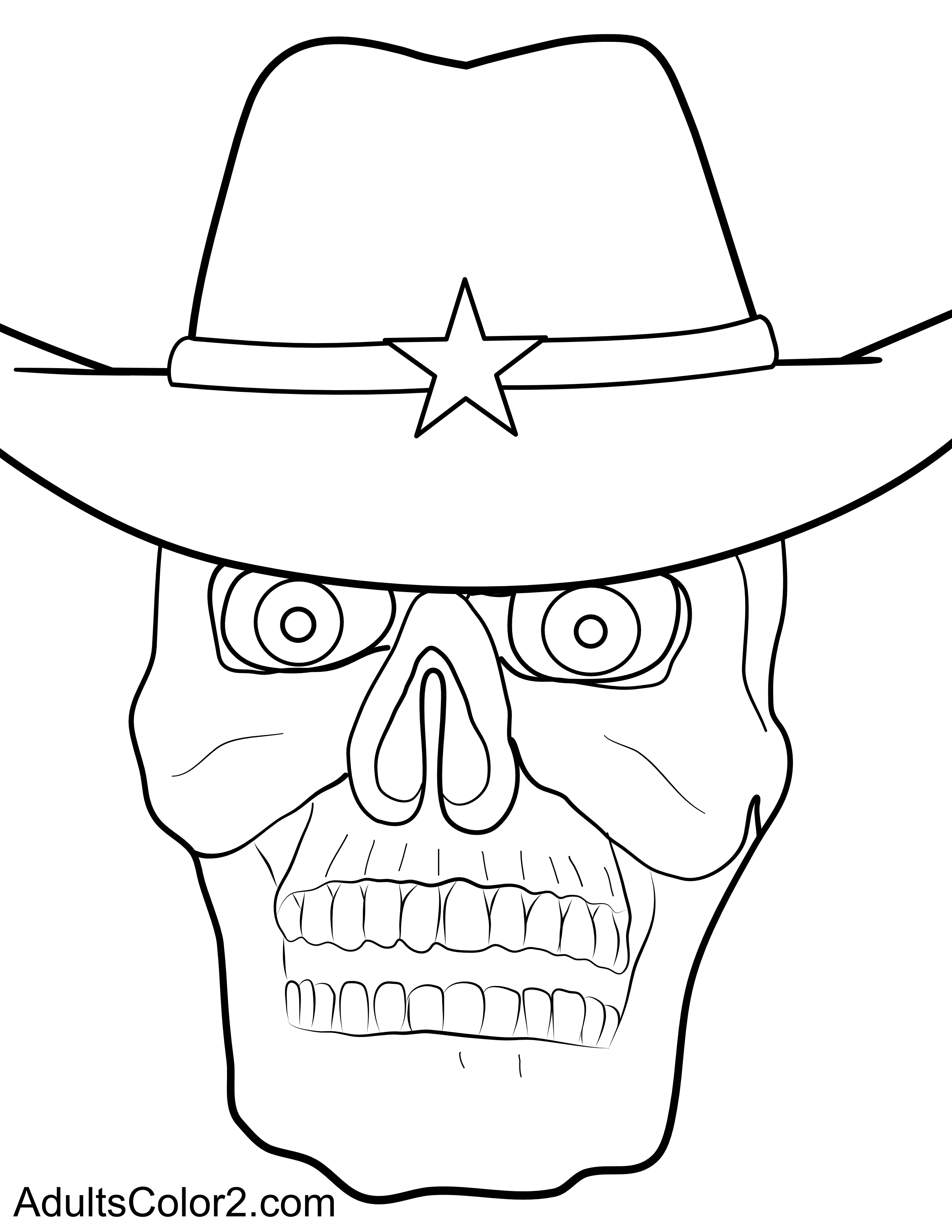 Skull wearing a cowboy hat.