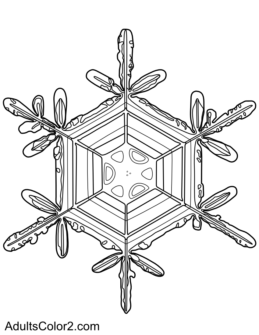 Drawing of an ice crystal based off a Nasa photo.