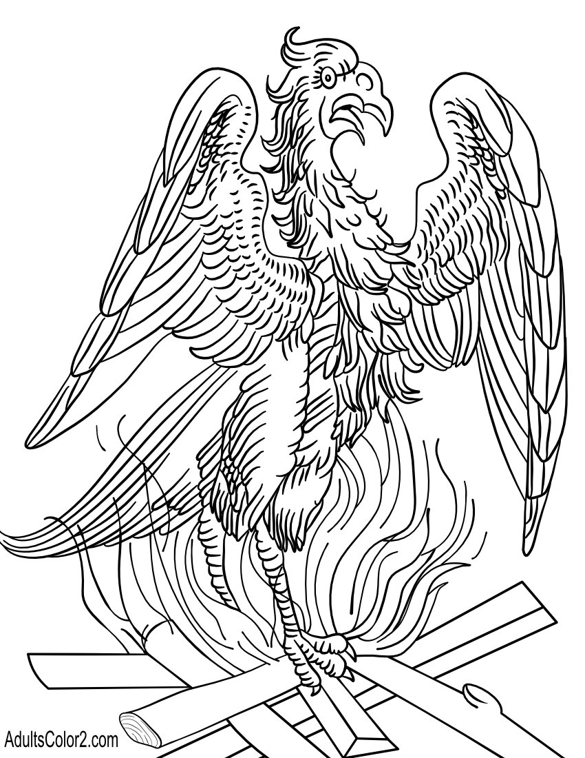 The phoenix.