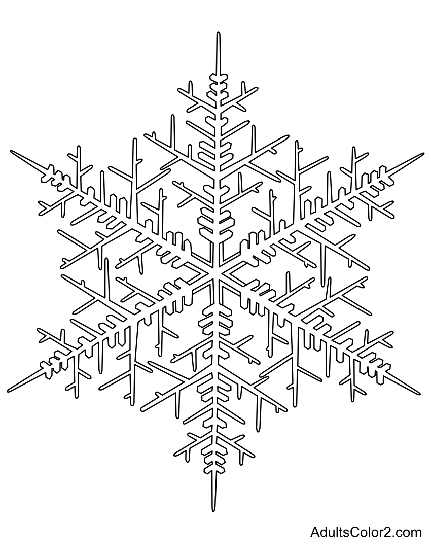 Line drawing of a thorny flake of snow.