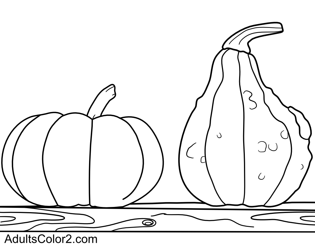 Two forlorn pumpkins on a plank. 