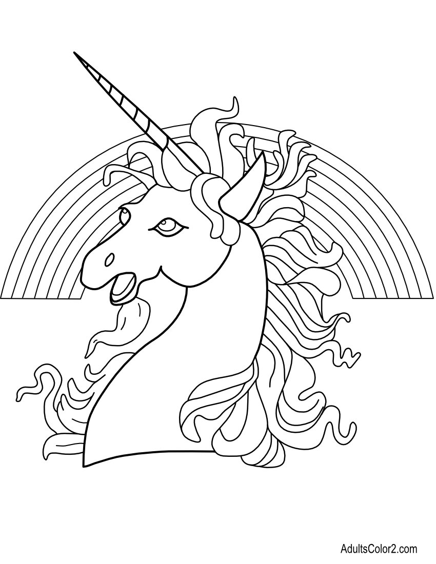 Unicorn head and a rainbow.