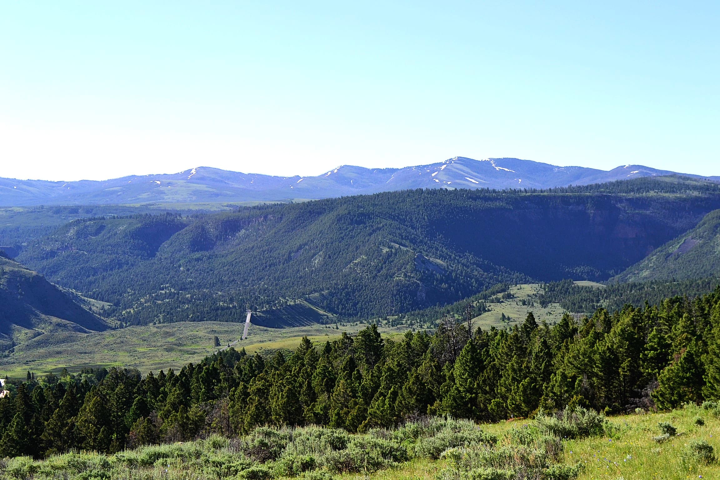 Looking north towards Montana from the trail.