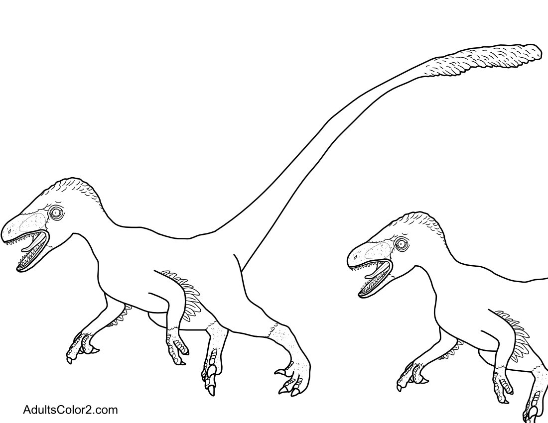 A pair of velociraptor dinosaurs.