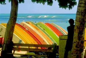 Photo of surfboards on Waikiki Beach> Source: Wikimedia Commons