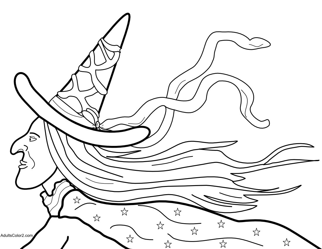 Profile of a witch flying on her broom.