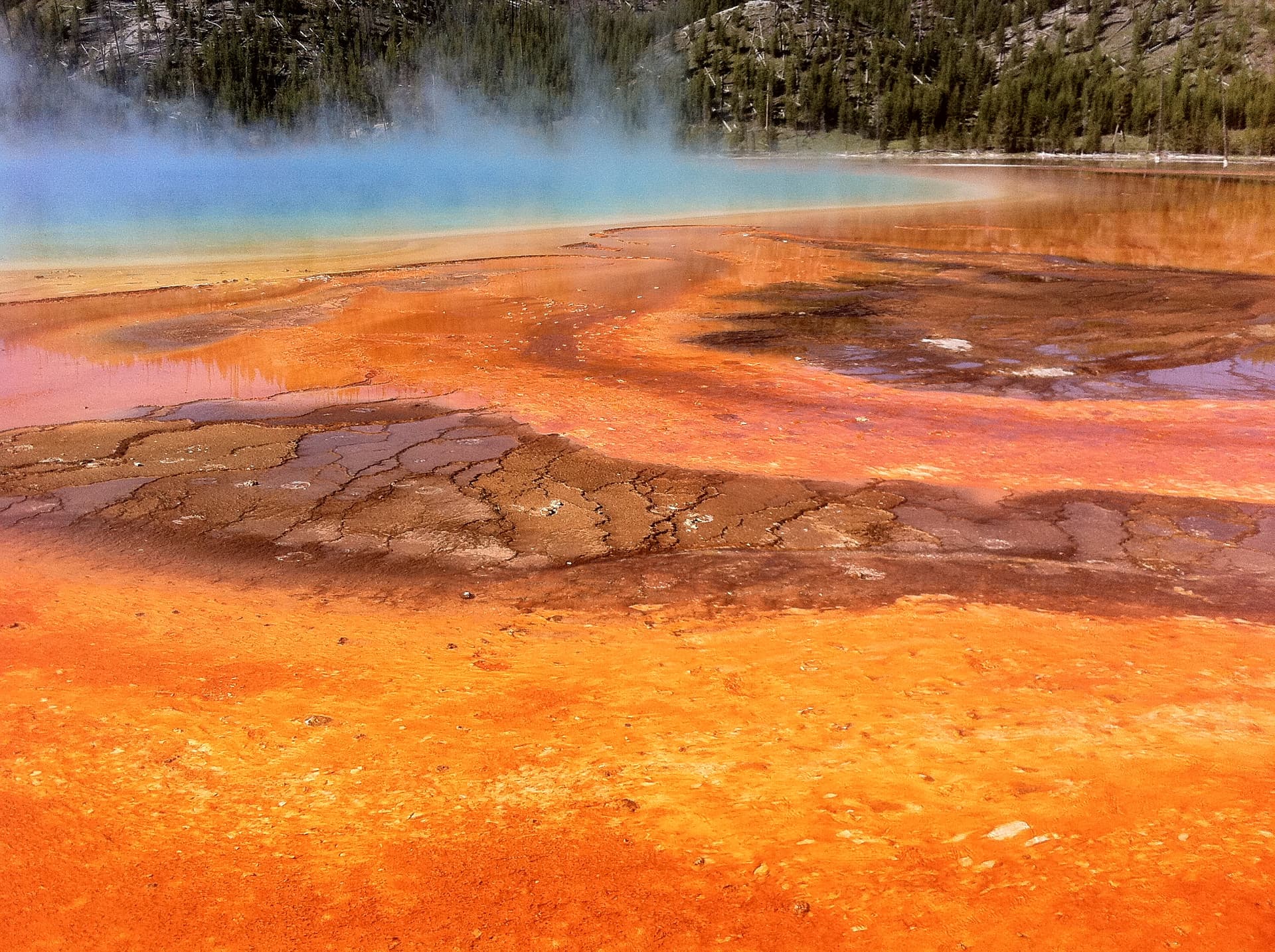 Photo of the Grand Prismatic Spring Yellowstone Park.