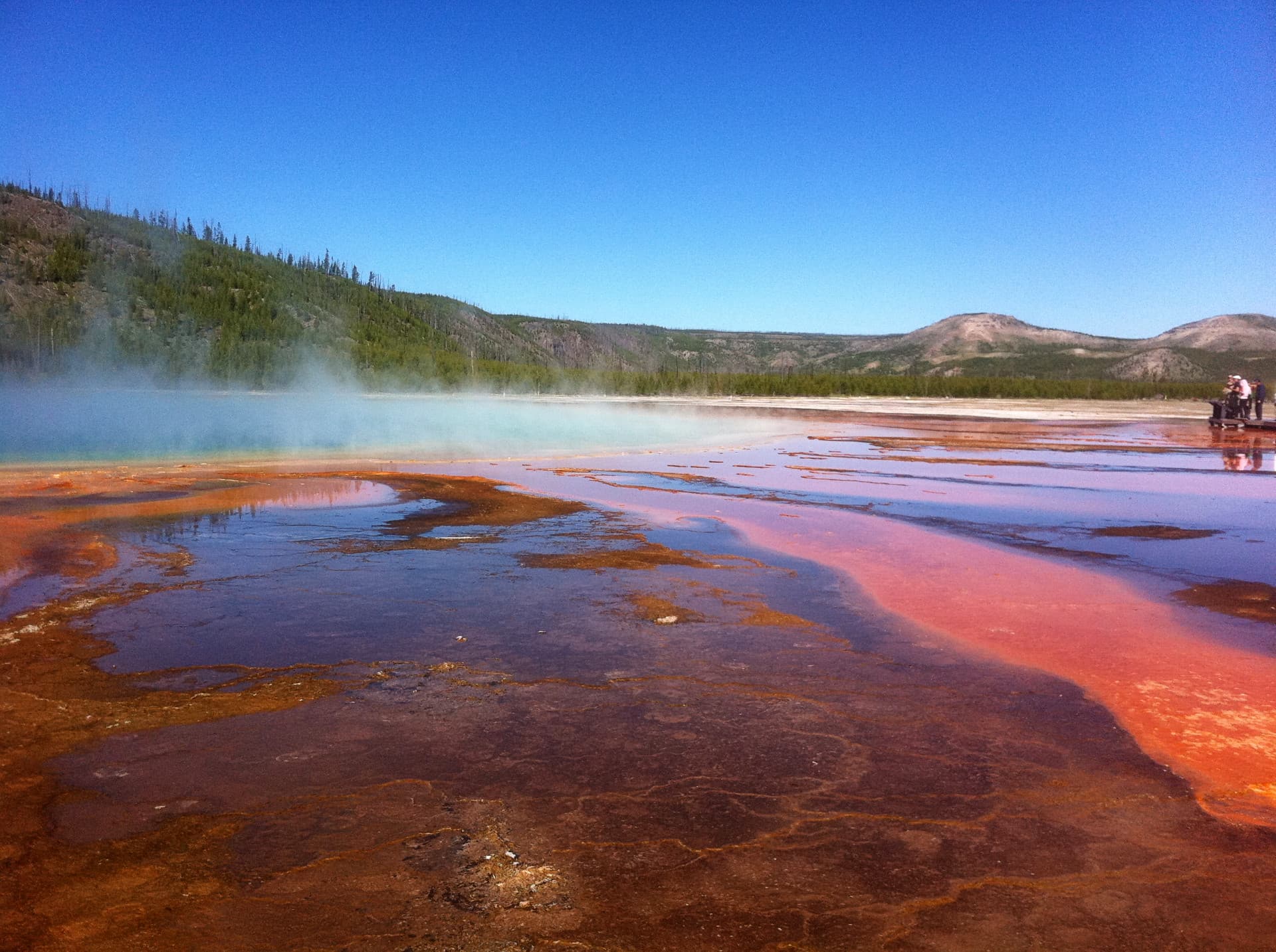 Prismatic hot spring in Yellowstone National Park.